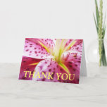 Stargazer Lily Thank You (Blank Inside) Card