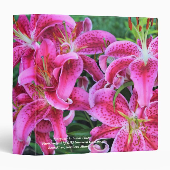 Stargazer Oriental Lilies 3 Ring Binder (Front/Spine)