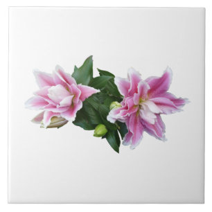 Stargazer oriental lilies ceramic tile