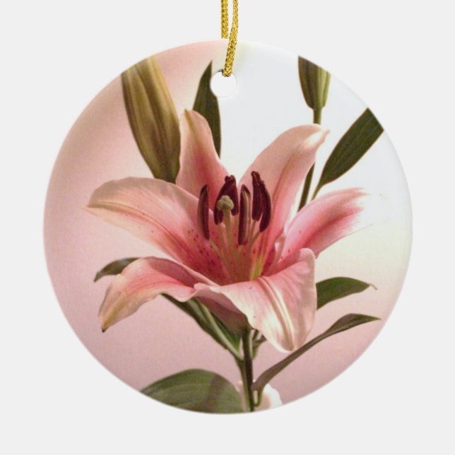 Stargazer Ornament (Front)