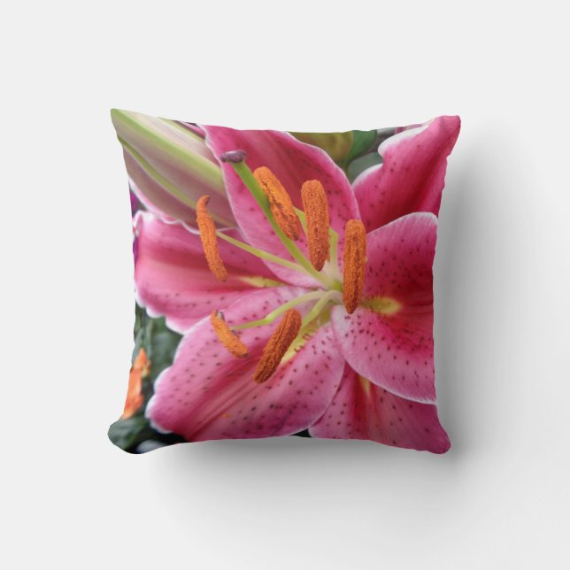 Stargazer Throw Pillow (Front)