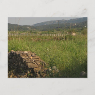 Stari Grad Plain Postcard