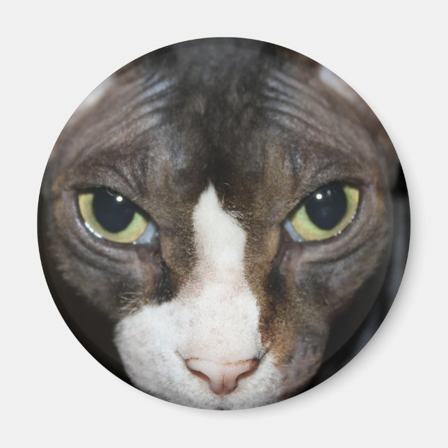 Staring at You Magnet (Front)