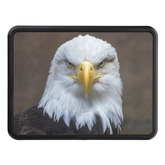 Staring Bald Eagle Trailer Hitch Cover (Front)