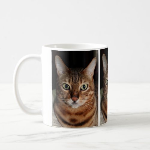 Staring Bengal Cat Photo Mug Add Your Own Meme Coffee Mug