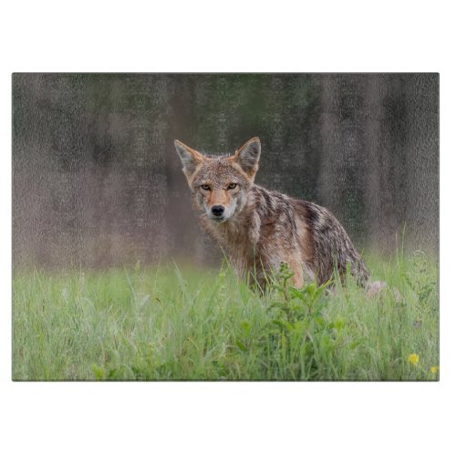 Staring Brown Coyote Photography On a Field Cutting Board