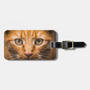 Staring Cat custom luggage tag