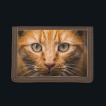 Staring Cat wallets<br><div class="desc">See my store for more items with this image.</div>