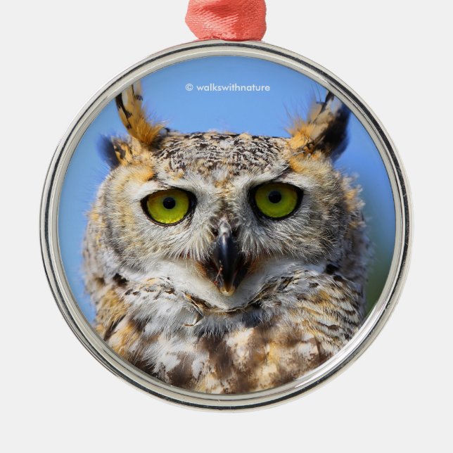 Staring Contest with a Beautiful Great Horned Owl Metal Ornament (Front)