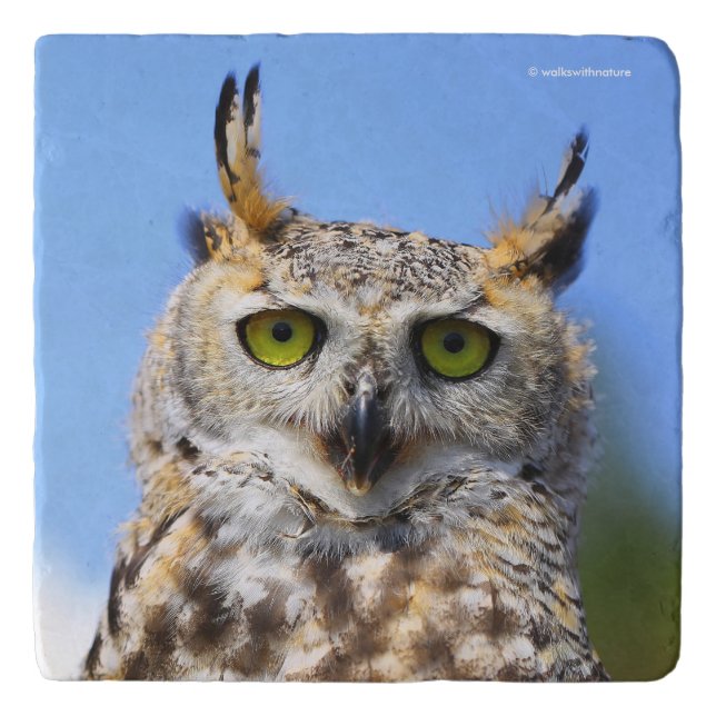 Staring Contest with a Beautiful Great Horned Owl Trivet (Front)