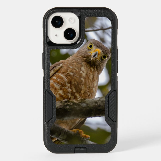 Staring Hawk, Belize Bird Otterbox iPhone Case (Back)