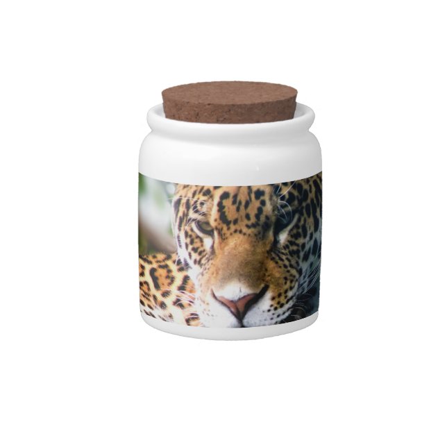 Staring Leopard Candy Jar (Front)