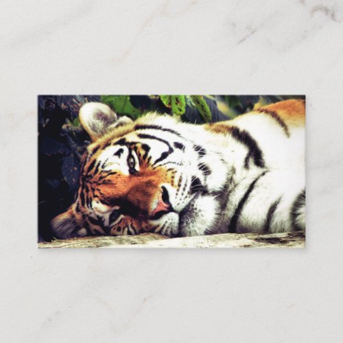 Staring Tiger Business Card