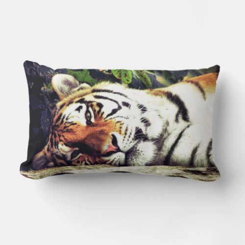 Staring Tiger Lumbar Pillow