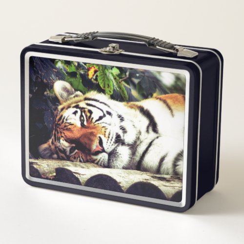 Staring Tiger Metal Lunch Box
