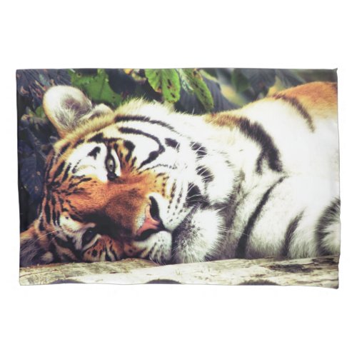Staring Tiger Pillow Case