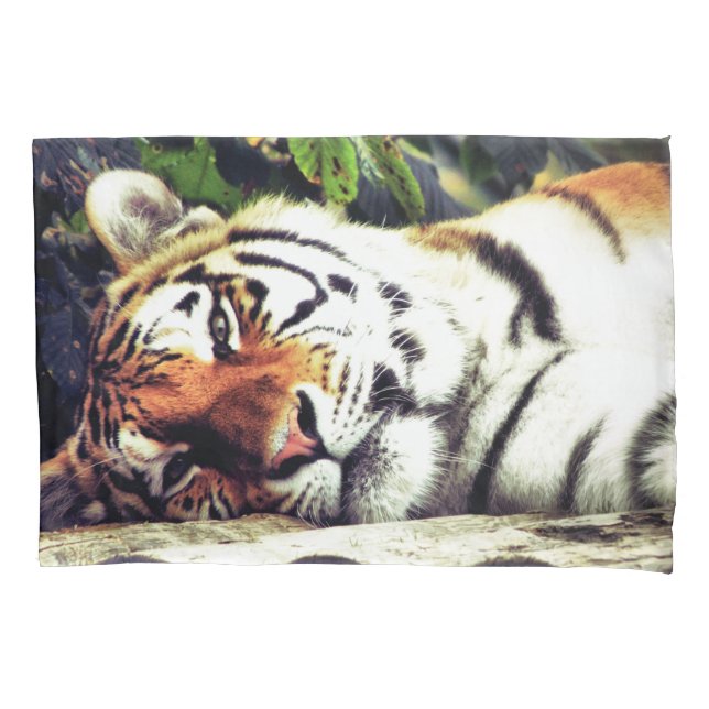 Staring Tiger Pillow Case (Front)