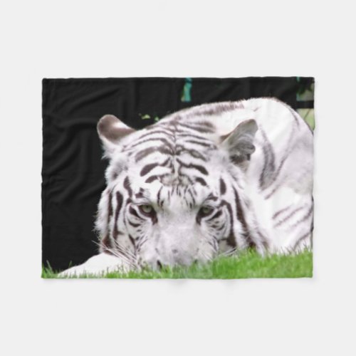 Staring White Tiger Fleece Blanket