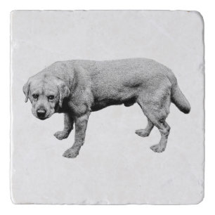 Stark Companion Trivet