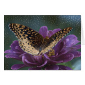 Starlight Butterfly Cards (Front Horizontal)