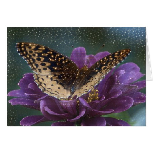 Starlight Butterfly Cards (Front Horizontal)