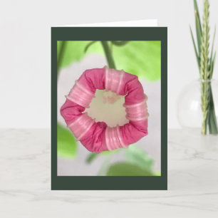 Starlight Mint Morning Glory Blank Card