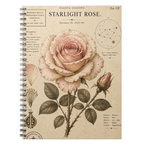 Starlight Rose Victorian Botanical Museum Print Notebook