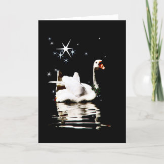Starlight Swan Holiday Card