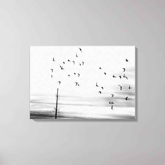 Starling Birds Flying by Hydro Wires Stark Scene Canvas Print (Front)
