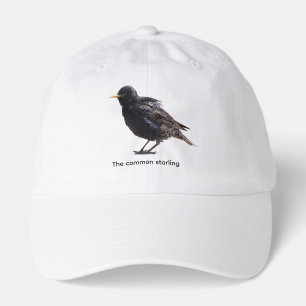 Starling hat