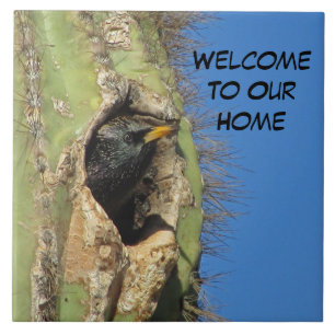 Starling in Saguaro Cactus Photo Southwest Bird Ceramic Tile