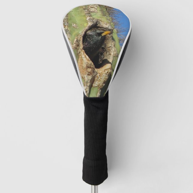 Starling in Saguaro Cactus Photo Southwest Bird Golf Head Cover (Front)