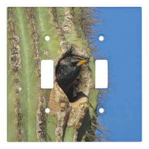 Starling in Saguaro Cactus Photo Southwest Bird Light Switch Cover