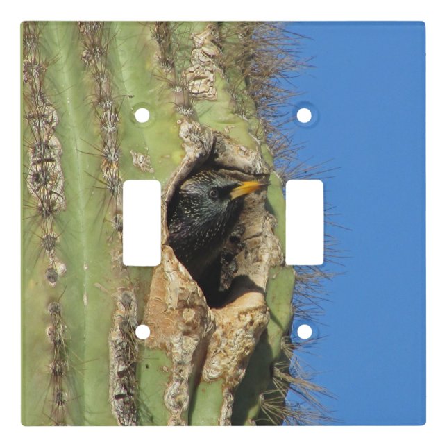 Starling in Saguaro Cactus Photo Southwest Bird Light Switch Cover (Front)