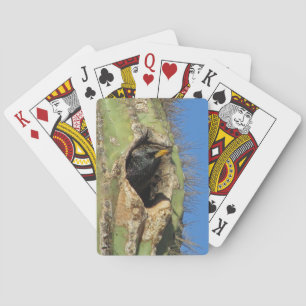 Starling in Saguaro Cactus Photo Southwest Bird Poker Cards