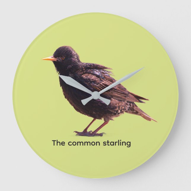 Starling  large clock (Front)