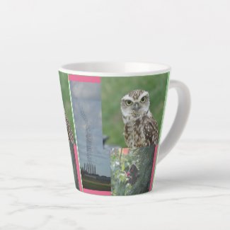 Starling, Owl and Birdswarm Collage Latte Mug