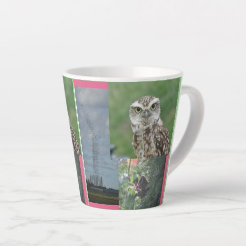 Starling Owl and Birdswarm Collage Latte Mug