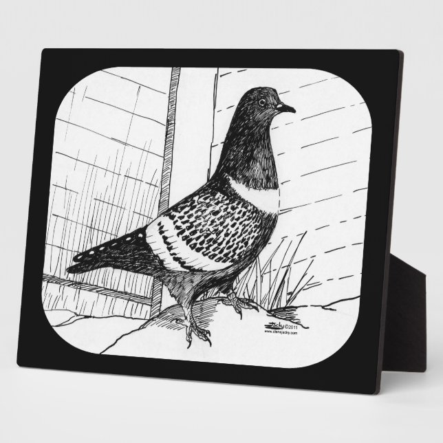 Starling Pigeon 1973 Plaque (Side)