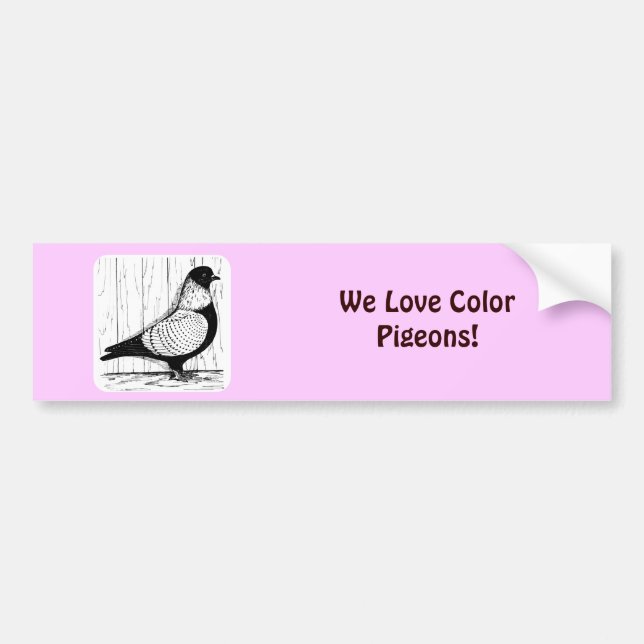 Starling Pigeon Silver-laced 1979 Bumper Sticker (Front)