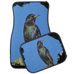 Starling Saguaro Cactus Beautiful Southwest Bird Car Floor Mat