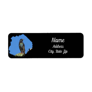 Starling Saguaro Cactus Beautiful Southwest Bird Label