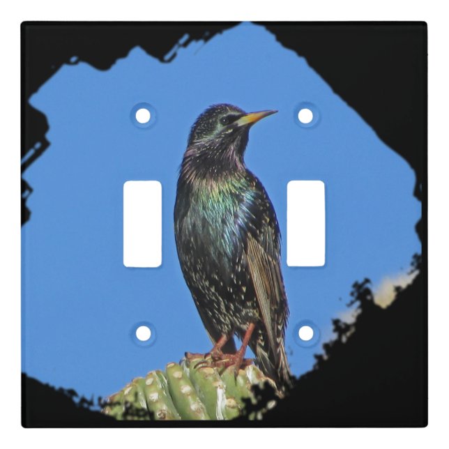 Starling Saguaro Cactus Beautiful Southwest Bird Light Switch Cover (Front)