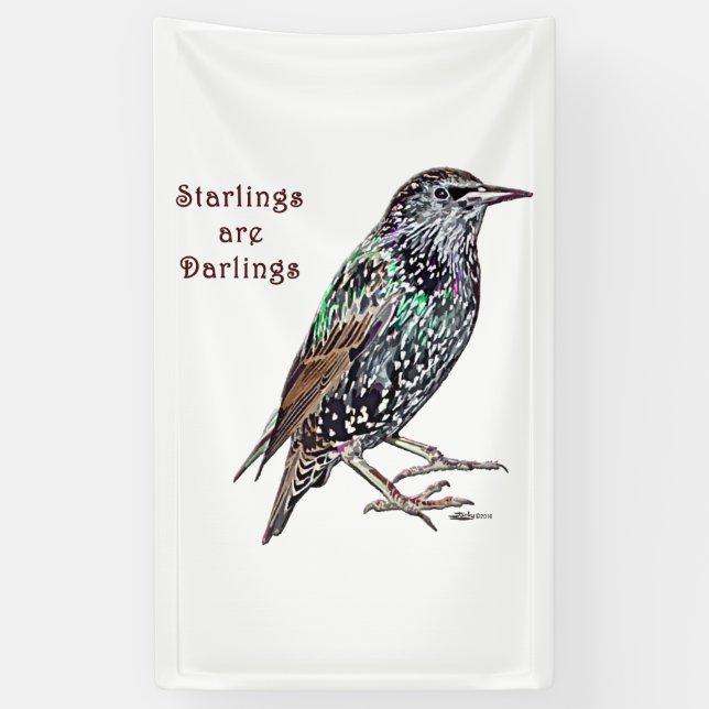 Starlings Are Darlings Banner (Vertical)