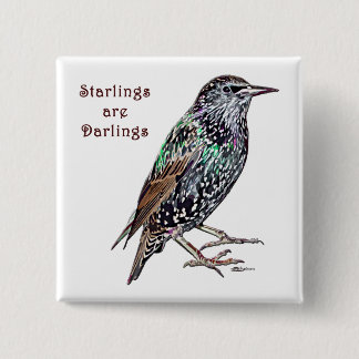 Starlings Are Darlings Button