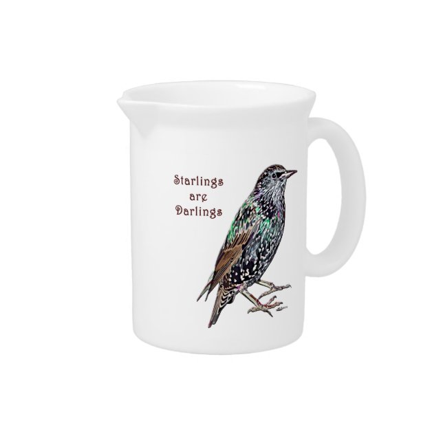 Starlings Are Darlings Drink Pitcher (Right)