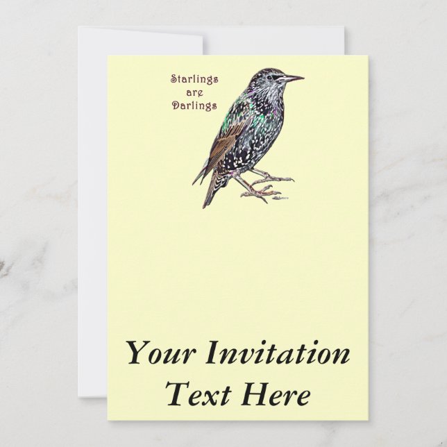 Starlings Are Darlings Invitation (Front)