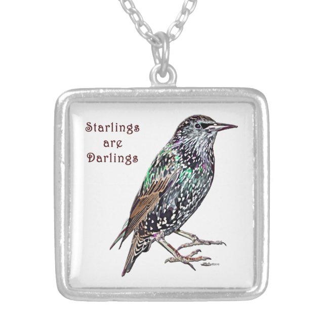 Starlings Are Darlings Silver Plated Necklace (Front)