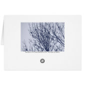 Starlings in a Tree (Back Horizontal)