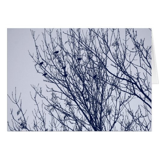Starlings in a Tree (Front Horizontal)